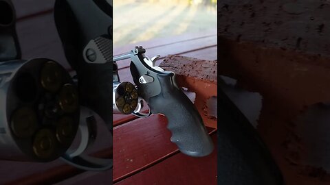 Smith & Wesson PC .44 Magnum Hunter