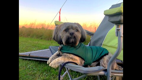 Chewbacca’s Elvis Lip! Rebel Field Fly-In spectator!