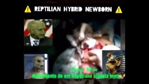 🚨 THE BIRTH OF REPTILIAN BABY OUT OF A COW 🐄 🚨 ￼NOTICE NO GENITALIA🚨WE BREED THEM🚨￼🦎