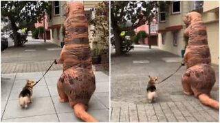 T-Rex walks a dog on the streets of San Francisco