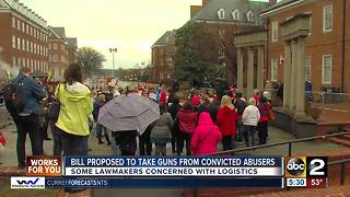 Bill proposed to take guns from convicted abusers