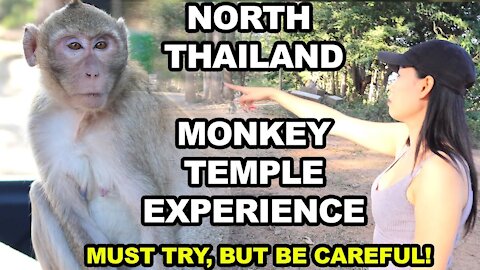 Thailand Travel to Khon Kaen Monkey Temple... Monkey's are Scary!