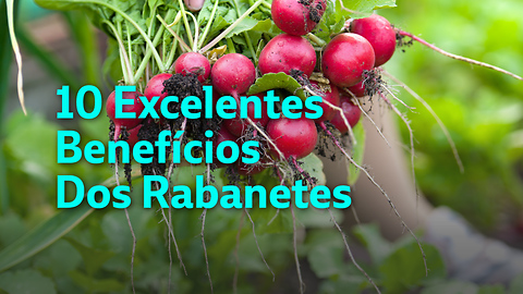 10 Excelentes Benefícios dos Rabanetes