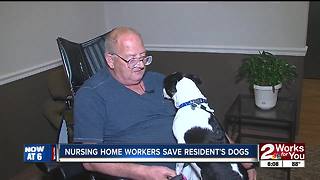 Dogs saved by nursing home workers