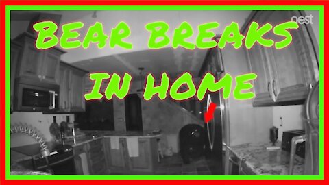 🐻 VIRAL VIDEO Of Bear Breaking In Home And Getting A Snack 🐻