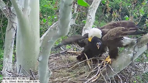 USS Bald Eagle Cam 1 6-8-23 @ 15:03 Hop trying out for the Pittsburgh Penguin goalie position