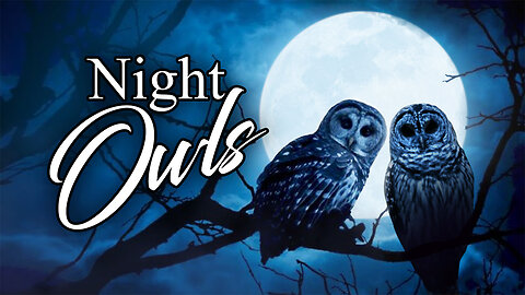 Night Owls - Sunday, April 21