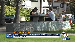 Portion of Balboa Park hit with 'worst ever' tagging