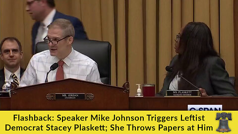 Flashback: Speaker Mike Johnson Triggers Leftist Democrat Stacey Plaskett; She Throws Papers at Him