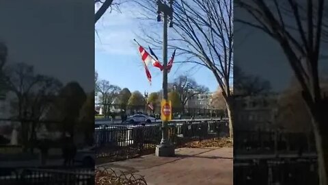 12/2/22 Nancy Drew-Video 1-Friday Update-Lots of Police Around WH Area-Just Standing Guard...
