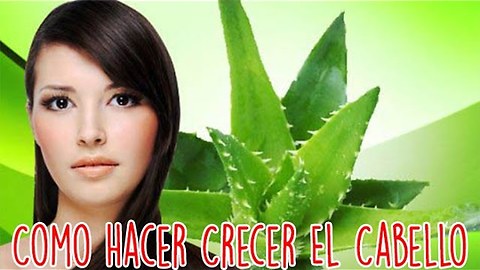 Como Hacer Crecer El Cabello