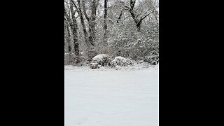 First snowfall this year