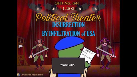 The GoldFish Report No. 641 - Insurrection By Infiltration of USA