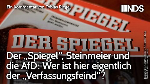 Der „Spiegel“, Steinmeier und die AfD: Wer ist hier eigentlich der „Verfassungsfeind“? | Riegel NDS