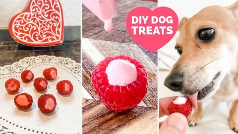How to Make Berry Cute Pupsicles - Homemade Dog Treats