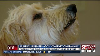 Funeral home offers therapy dog at services
