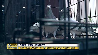 Man files lawsuit after charges over pigeon ban in Sterling Heights