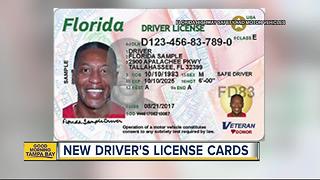 Check out Florida's new driver's licenses and ID cards
