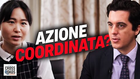 L'analisi dei video dell'irruzione nel Campidoglio Usa suggerisce azioni coordinate | Crossroads