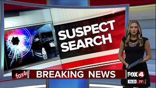 Deputies search for armed carjacker