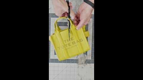 The Leather Micro Tote Bag Review & Deconstruction