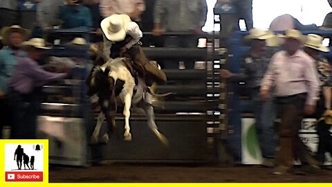 Miniature Bronc Riding - 2022 Ben Johnson Days Ranch Rodeo | Saturday