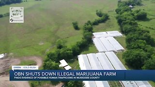 OBN shuts down illegal marijuana farm