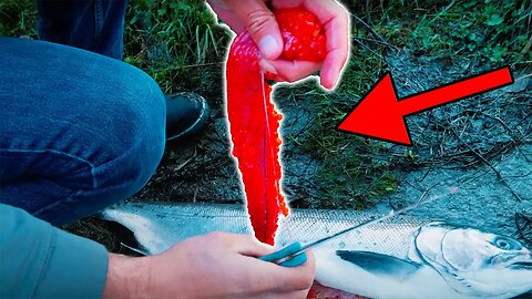 The MOST COMPLETE Egg Curing How-To EVER (Salmon & Steelhead Tips & Tricks)