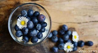 Research: Blueberries Increase The Life Span by 22 Years