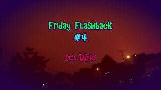 Friday Flashback #4