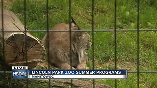 Lincoln Park Zoo in Manitowoc offers free summer programs