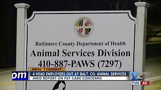 Staffing shakeup at Balt. Co. Animal Services amid report on pet care concerns