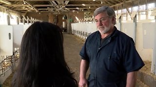 How dairy farmers are dealing with challenges to industry