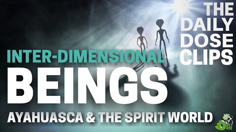 Multi-Dimensional Beings Ayahuasca & The Spirit World : The Daily Dose Clips
