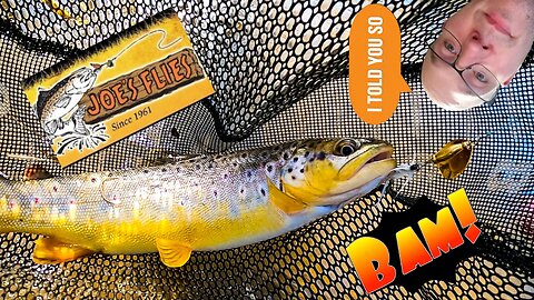 Fishing for TROUT with Inline Spinners and Jerkbaits