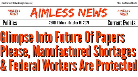 Hilarious Glimpse Into Future Of Papers Please, Manufactured Shortages & Federal Workers Are Covered