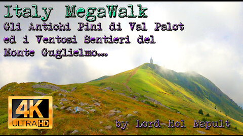 Italy MegaWalk - Gli Antichi Pini di Val Palot ed i Ventosi Sentieri del Monte Guglielmo