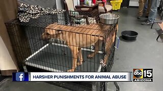 Governor Ducey signs new animal abuse bill into law