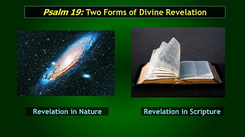 Video Bible Study: The Book of Psalms - #012