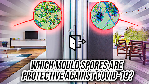 Which Mould Spores are Protective Against COVID-19?