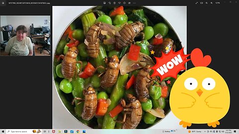 Yummy Cicada Season And Much More! 😂