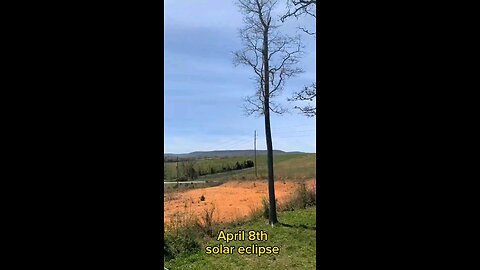 watching the eclipse in my back yard