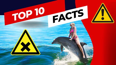 Dolphin Delight: 10 Mind-Boggling Facts That Will Make You Love Them Even More