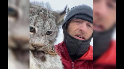 Canada Farmer Catches Wild Lynx, Carries It Like Common House Cat
