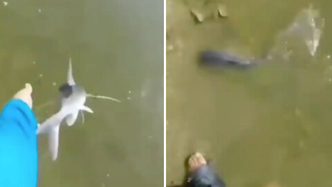 Fisherman tries to return the fish to the water