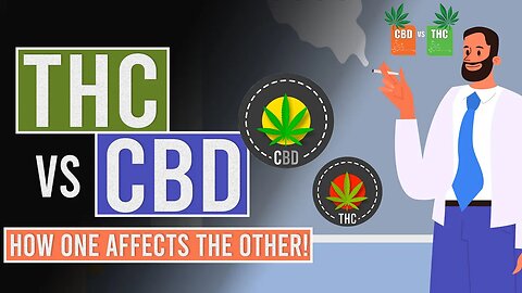 THC vs CBD: How one affects the other!