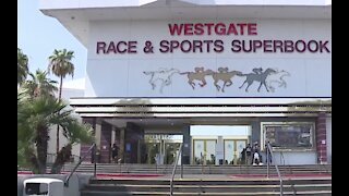 Return of sports and the Raiders helping Las Vegas sportsbooks