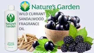 Wild Currant Sandalwood Fragrance Oil- Natures Garden