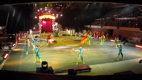 Blasian Babies Family Barnum & Bailey's Circus!