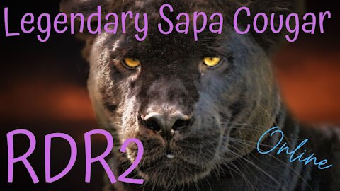 Red Dead Redemption 2(RDR2) ~ Online Legendary Sapa Cougar #RDR2